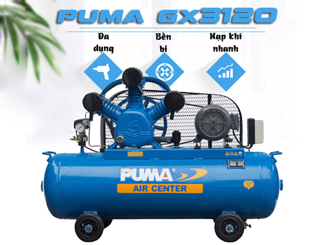 máy nén khí Puma GX3120